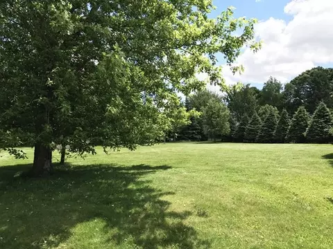 1007 N Schmidt Ave, Marshfield, WI 54449 photo 6