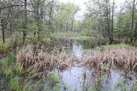 544 8th Ave, Nekoosa, WI 54457 photo 21