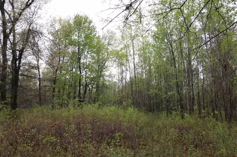 544 8th Ave, Nekoosa, WI 54457 photo 27
