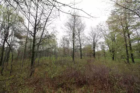 544 8th Ave, Nekoosa, WI 54457 photo 35