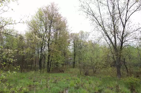 544 8th Ave, Nekoosa, WI 54457 photo 25