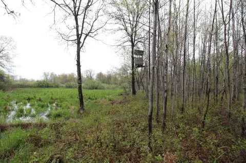 544 8th Ave, Nekoosa, WI 54457 photo 28