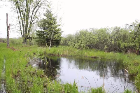 544 8th Ave, Nekoosa, WI 54457 photo 33