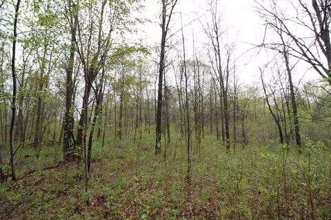 544 8th Ave, Nekoosa, WI 54457 photo 26