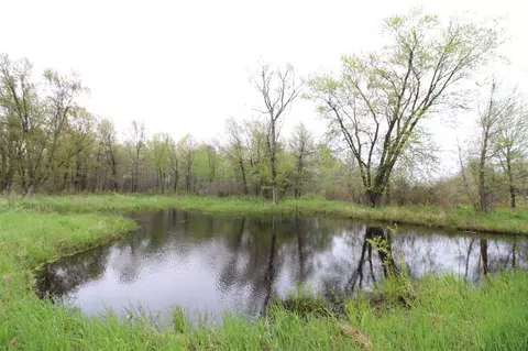 544 8th Ave, Nekoosa, WI 54457 photo 30