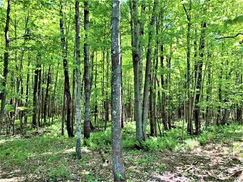w6151 Crosscut Road, Phillips, WI 54555 photo 3