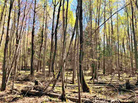 w6151 Crosscut Road, Phillips, WI 54555 photo 27