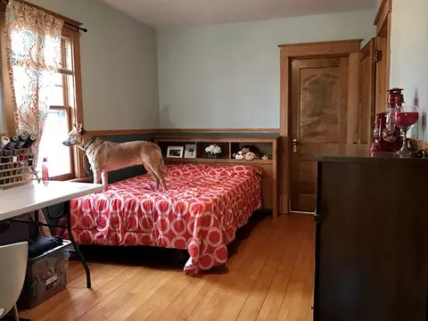 309 E 2nd St, Marshfield, WI 54449 photo 15