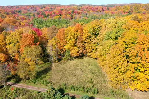 5 39 Acres Sawyer Ave, Withee, WI 54498