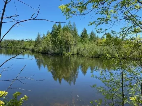 00 Holden Rd, Rib Lake, WI 54470