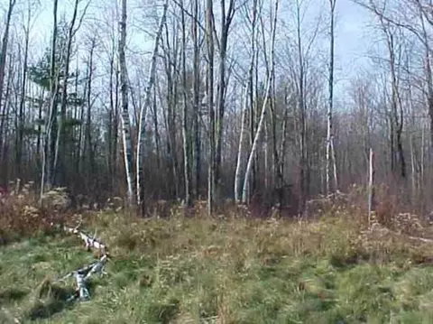 lot1 Wood Duck Ln, Merrill, WI 54452