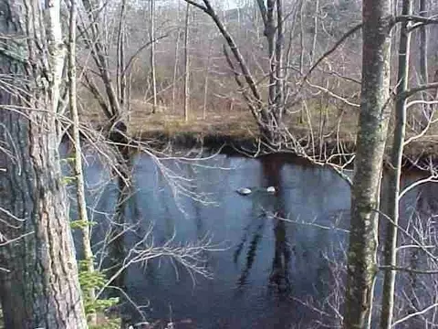 Lot 4 Wood Duck Lane, Merrill, WI 54452