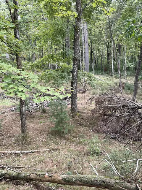 13 62 Acres Townline Rd, Wisconsin Rapids, WI 54494