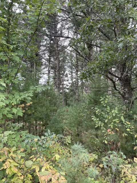 12 545 Acres Townline Rd, Wisconsin Rapids, WI 54494