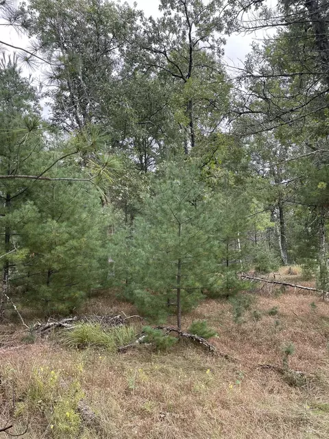 10 239 Acres Townline Rd, Wisconsin Rapids, WI 54494