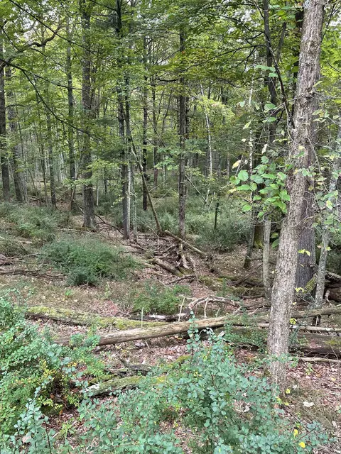10 265 Acres Townline Rd, Wisconsin Rapids, WI 54489