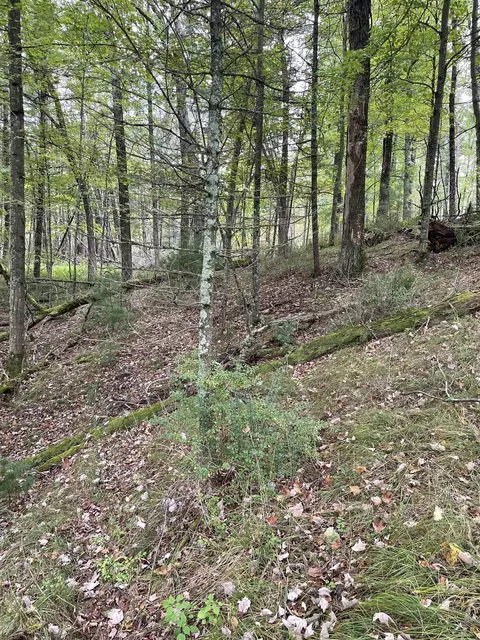 8 95 Acres Townline Rd, Wisconsin Rapids, WI 54494