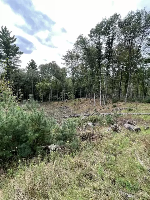 8 382 Acres Townline Rd, Wisconsin Rapids, WI 54494