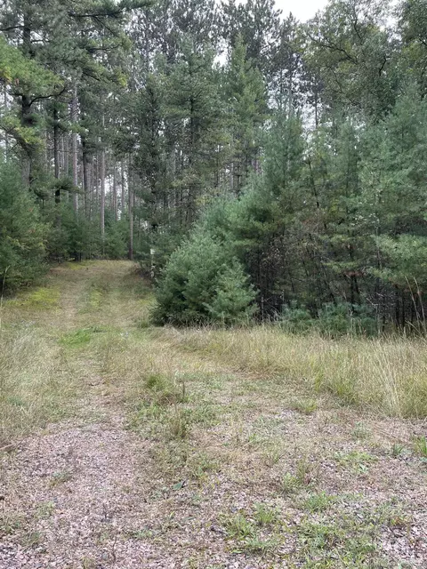 8 457 Acres Townline Rd, Wisconsin Rapids, WI 54494