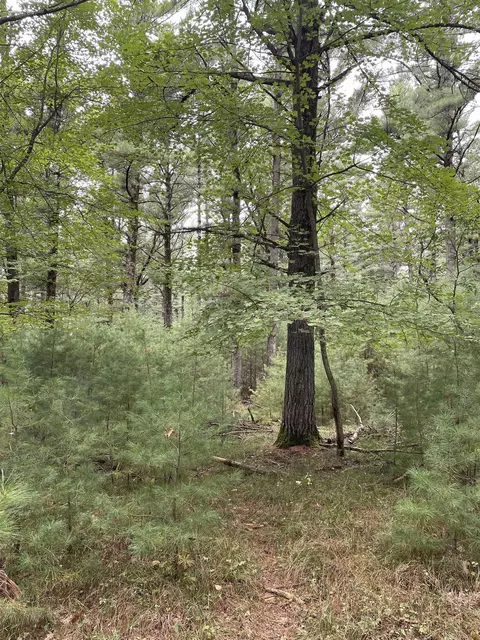 10 419 Acres 48th St S, Wisconsin Rapids, WI 54494