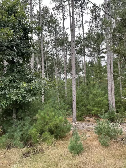 10 386 Acres 48th St S, Wisconsin Rapids, WI 54494