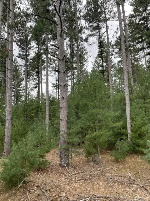 10 369 Acres 48th St S, Wisconsin Rapids, WI 54494