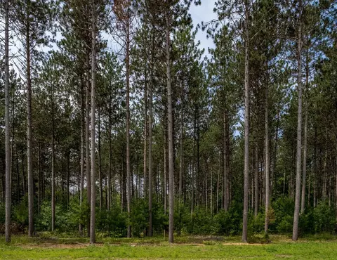7 2nd Street, Stevens Point, WI 54482