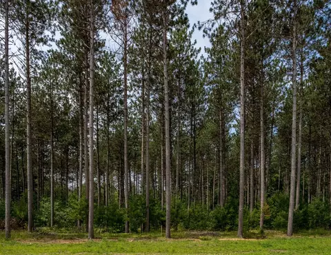 9 2nd Street, Stevens Point, WI 54482