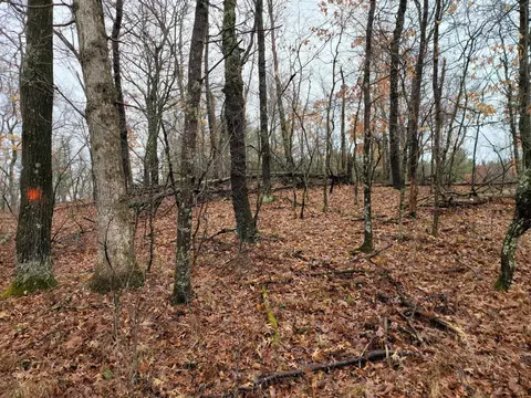 1089 W Queens Way, Nekoosa, WI 54457