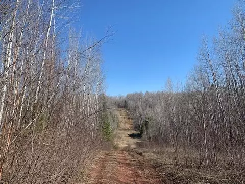 Potato River Road, Sanborn, WI 54806