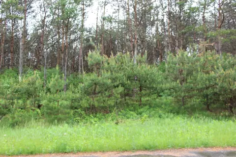 Savannah Lane, Merrill, WI 54452