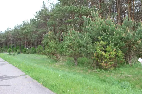 Savannah Lane, Merrill, WI 54452