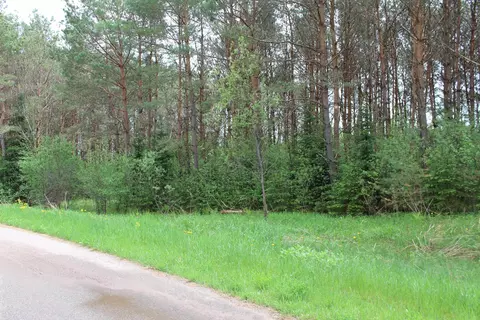 Russell Court, Merrill, WI 54452