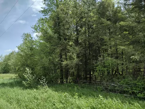 224481 Abt Rd, Ringle, WI 54471 photo 8
