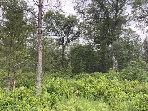 Lots 8 & 9 32nd Street, New Lisbon, WI 53950