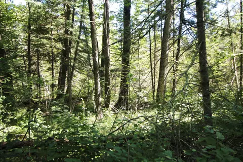 2 197 Acres County Road I, Ogema, WI 54459