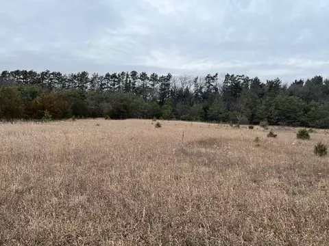 Pine Drive, Montello, WI 53949