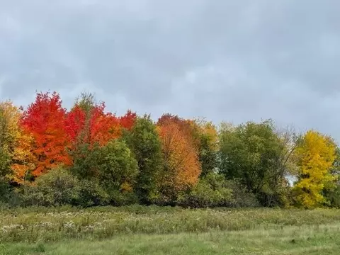 Lot 14 Silver Hill Lane, Wausau, WI 54401