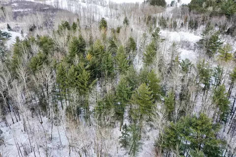 17 78 Acres State Highway 64, Medford, WI 54451