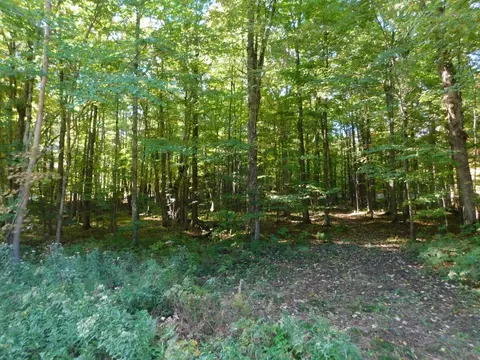 Lot 4 Edward Drive, Merrill, WI 54452