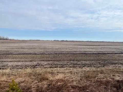 60 Acres Mill Rd, Pine Grove, WI 54921