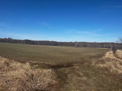 Vacant Land On Borglin Avenue, Greenwood, WI 54437
