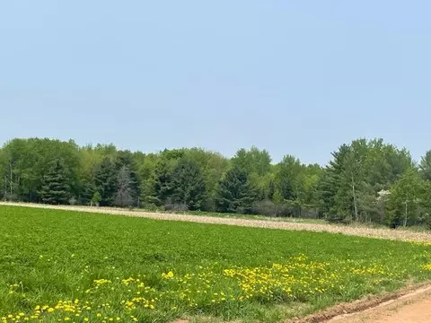 18 91 Acres Honey Ridge Rd, Wausau, WI 54403