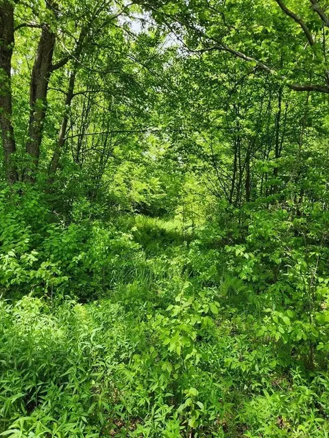 Highway 13, Phillips, WI 54555