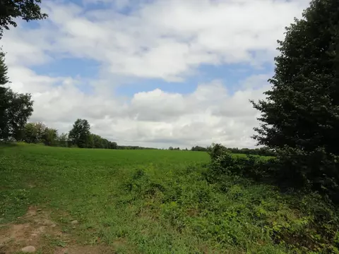 40 Acres Ice Age Ln, Rosholt, WI 54473