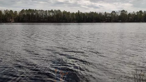 4 8 Acres Forrester Rd, Tomahawk, WI 54487