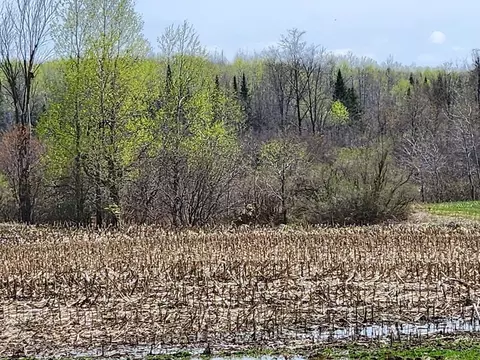 Cranberry Trail, Merrill, WI 54452