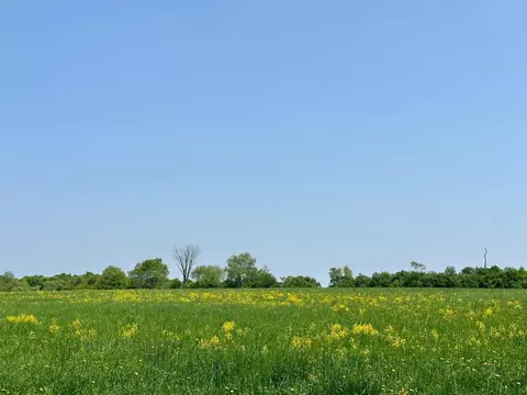 14 84 Acres State Highway 64, Merrill, WI 54452