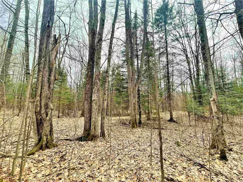 n11286 Tower Road, Phillips, WI 54555