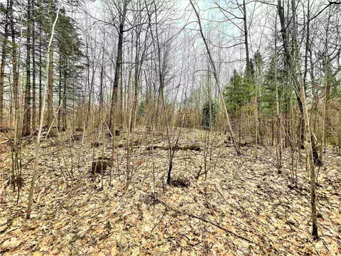 5 Acres Tower Rd, Phillips, WI 54555 photo 9